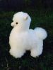 BABY ALPACA FUR TOY