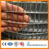 Fencing net iron wire mesh 1/4 inch galvanized welded wire mesh for construction