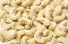 Cashew Nuts | Cashew N...