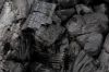 Charcoal | Hardwood Ch...
