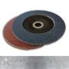 Abrasive Flap Disc