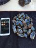 Blue amber ( Sample Av...