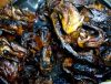 Smoked dry catfish