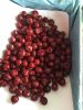 Frozen Seedless Sour Cherry