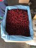 Frozen Seedless Sour Cherry