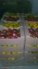 fresh Capsicum