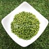 Organic Mung Bean