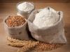 EXPORT WHEAT FLOUR FOR MAKING BREAD OR CAKE 