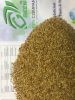 Sesame Seeds 