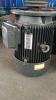 Industrial grade peanu...