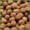 Raw walnuts with shells, Cashew nuts/ dried groundnuts, soya bean