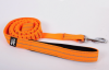 New product Elastic shock damped Dog leash with spring rope