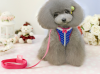 Puppy small dog used cotton/nylon dog vest dog harness with dog leash