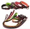 A whole set Adjustable Lock switch durable dog collar and dog leash nylon PU leather