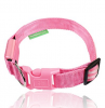 Safety LED Dog Collar â€“ USB Rechargeable with Water Resistant Flashing Light