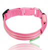 Safety LED Dog Collar â USB Rechargeable with Water Resistant Flashing Light