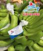 Vietnam Fresh Cavendish Bananas (+841214627828)