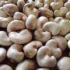 Cashew Nuts | Raw Cash...
