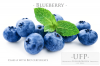 BQF Blueberries Class ...