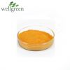 Coenzyme Q10