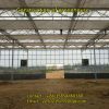 Construction of large steel structure glass greenhouse