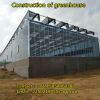 Construction of large steel structure glass greenhouse