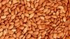 Almonds - Almond Nuts - Ships in Bulk/California Almond Nuts