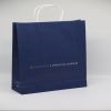 Kraft Paper Bags Shopping Bags(oem &odm)