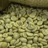 Premium Vietnam Robusta green coffee beans