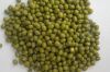 green mung beans