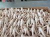 Export Quality of Premium Chicken feet and paws