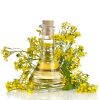 Refined Rapeseed Oil