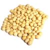 Soya Bean