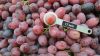 Premium Australian Crimson Seedless Grapes