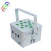 Hot Selling LED par ca...