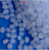 virgin&recycled Polypropylene Random Copolymer PP RP100 granules
