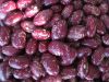 Purple Speckled Kidney Bean / Light Speckled Kidney Bean