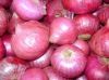 Onion ,Potato,Spices