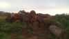WOOD LOG AND  TIMBER 