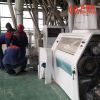 Can Mill Mixed Wheat of 60t/D Wheat Flour Milling Plant