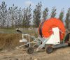 Hose reel irrigator