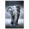 Animals digital prints on canvas wall decor at reasonable price