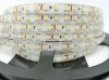 120 LED/m SMD3528 LED strip, 5m 600 LED 12V flexible light IP65 Waterproof , white/white warm/blue/green/red/yellow