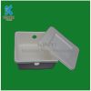 Biodegradable bagasse pulp molded packaging boxes