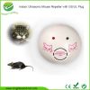 Bright World Ultrasonic Plug-in Mice/Rat Repeller