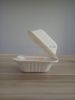 100% Sugarcan Pulp Take Away Food Container