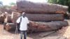 Mahogany (Redwood)