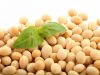 Soybeans