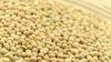 Soybeans