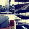 98% min water treatment chemicals Ferrous sulfate heptahydrate
